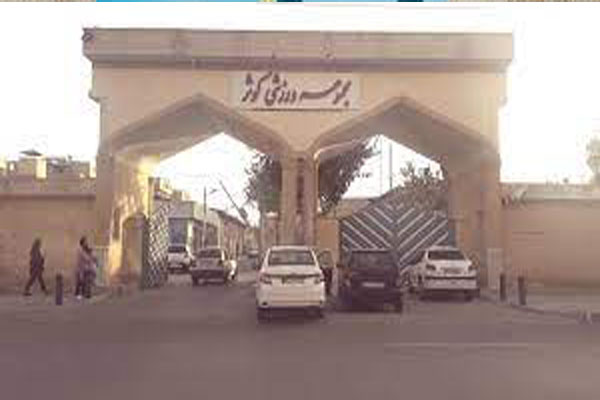 استخر کوثر ملک شهر