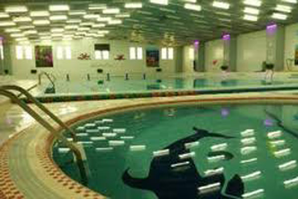 استخردانشگاه آزاد